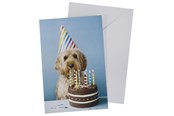 Harrastustarvikkeet - SCANSEASON Card with envelope dog with cake 11*17cm - 100253