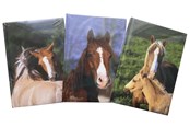 Paperit, valokuvapaperit ja tarrat - Hobby Mate Notebook A5 126*180mm. Horse motif.100254 - 100254-H