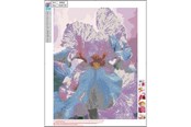 Harrastustarvikkeet - CENTRUM Diamond Painting 40*50cm. FLOWERS - 80902