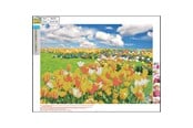 Harrastustarvikkeet - CENTRUM Diamond Painting 30*40cm. Tulip field - 89757