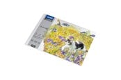 Harrastustarvikkeet - SPREE Drawing pad 350g. 10 sheets. B4 350*250mm. - 41914