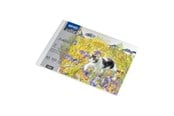 Harrastustarvikkeet - SPREE Drawing pad 350g. 10 sheets. A5 210*150mm. - 41915