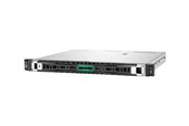 Palvelimet - Hewlett Packard Enterprise HPE ProLiant DL20 Gen11 - P65392-B21