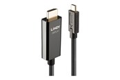 Näyttökaapeli - Lindy adapter cable - HDMI / USB - 10 m - 43317