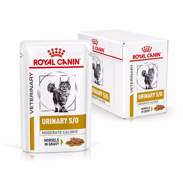 Kissat - Royal Canin Urinary S/O Moderate Calorie Morsels In Gravy 85g (12-Pack) - 9003579010228