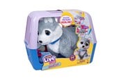 Pehmolelu - Little Live Pets OUCHIES HUSKY - 26680