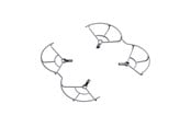 Muut - Sunnylife A3S-KC910 Propeller Cover for AIR 3S/AIR 3 - A3S-KC910