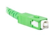 Verkkokaapelit - Lanberg patch cable - 2.5 m - 2.5 m - white - Valkoinen - 2.5m - FO-SASA-SS31-0025-WH
