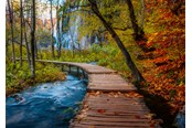 Palapelit - Ravensburger Autumnal wood trail (1000) - 12001764