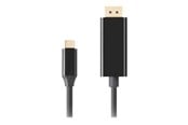 Näyttökaapeli - Lanberg - USB-C / DisplayPort adapter - USB-C to DisplayPort - 3 m - CA-CMDP-10CU-0030-BK