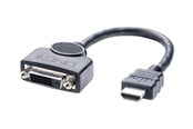 Näyttökaapeli - Lindy adapter - 20 cm - 41227