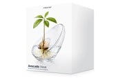 Sisustus - Mikamax Avocado Vase - 05198