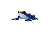 Hahmot - Mojo Wildlife Poison Dart Frog Blue - 381069