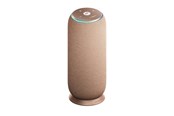 Kannettavat & Bilekaiuttimet - Motorola moto sound flow - PANTONE Warm Taupe - PG38C07850