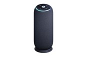 Kannettavat & Bilekaiuttimet - Motorola moto sound flow - PANTONE Carbon - PG38C07843