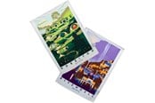 Fanituotteet - Weta Workshop - The Lord of the Rings - Rivendell & Hobbiton Tea Towel Set of 2 - Pyyhe - 9420024727744