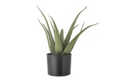 Sisustus - Bloomingville Aloe - 82061499