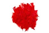 Askartelu- ja taidetarvikkeet - Colorations - Red Feathers 25 grams - CHREDF25