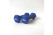 Urheilu & Fitness - ASG Neoprene Dumbbell Set 1kg - ASG4330IONE SIZE