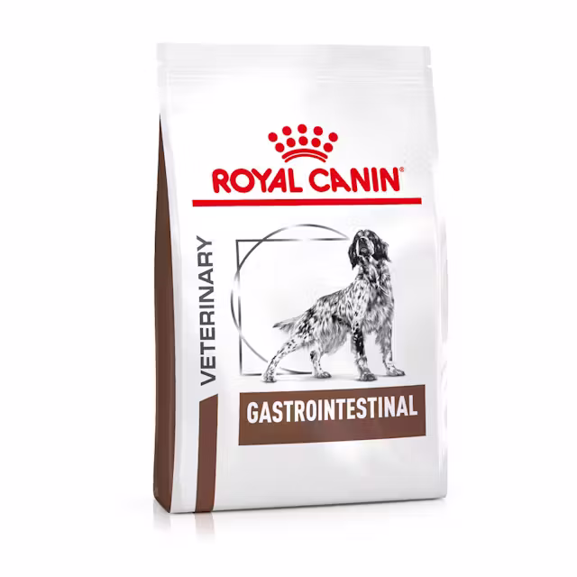 Koirat - Royal Canin Gastrointestinal Dry Dog Food 2 kg - 3182550771054