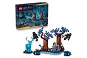 LEGO® - LEGO Harry Potter 76475 Kielletty metsä: Odotum suojelius - 76475