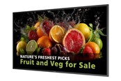 Infonäytöt & Digitaaliset opasteet - Philips 50BDL5050D 5000 Series - 50" Class (49.5" viewable) LED-backlit LCD display - 4K - for digital signage - 50BDL5050D/00