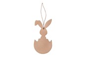 Askartelu- ja taidetarvikkeet - Colorations Decorate your own Easter pendants 6 pcs. - 46EN14