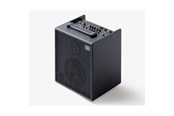 Musiikki-instumentit & DJ-laitteet - Schertler David X-A Acoustic Amplifier - Anthracite - 200848