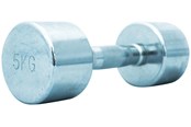Urheilu & Fitness - TITAN LIFE PRO Chrome Dumbbell 5 kg - 400-800722
