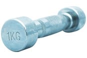 Urheilu & Fitness - TITAN LIFE PRO Chrome Dumbbell 1 kg - 400-800714