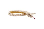 Pehmolelu - Wild Republic Plush Toy Snakes 137 cm Foil Lemon Blast Ball Python - 27597
