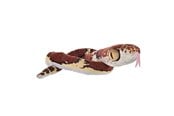 Pehmolelu - Wild Republic Plush Toy Snakes 137 cm Blunt Headed Imantodes Cenchoa - 28409