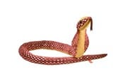 Pehmolelu - Wild Republic Plush Toy Snakes 137 cm Foil Cobra - 27368
