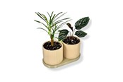 Sisustus - Simiu TWINDA - Double Planter in beige and light olive - 8.5cm - 5714255012392