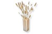 Sisustus - Simiu NORA - Vase - 21cm - 5714255012354
