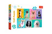 Palapelit - Trefl Puzzle - In the world of dogs (100 pieces) - TFL16421