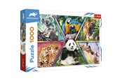 Palapelit - Trefl Puzzle - ANIMAL PLANET - Animal Kingdom (1000 pieces) - TFL10672