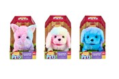 Altaat - Happy Pets Colourful Cutie Pal 3 asst. - 602515