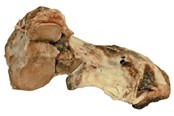 Koirat - Dogman Naudan rystyluu - 480688