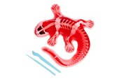 Ulkoleikit - Simba Scout Dissect-It Salamander - 109452704