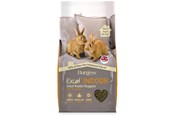 Kanit & Jyrsijät - Burgess Excel indoor rabbit 10kg - 22211