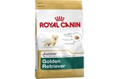 Koirat - Royal Canin Golden Retriever Junior - 3182550751261