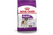 Koirat - Royal Canin Giant Adult - 3182550703079
