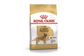 Koirat - Royal Canin BHN Golden Retriever dry dog food - 12kg - 3182550743440
