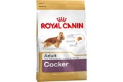 Koirat - Royal Canin Adult Cocker - dry dog food - 12 kg - 3182550811538