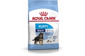 Koirat - Royal Canin Maxi Puppy - 3182550402149