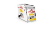Koirat - Royal Canin Dermacomfort - Wet dog food - 12 x 85 g - 9003579008812