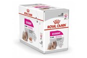 Koirat - Royal Canin Exigent Wet dog food Pâté 12x85 g - 9003579009451