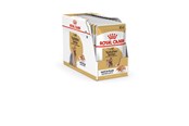 Koirat - Royal Canin Yorkshire Terrier Adult 12x85 g - 9003579001431