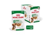 Koirat - Royal Canin Mini Adult - wet dog food - 12 x 85g - 9003579008249